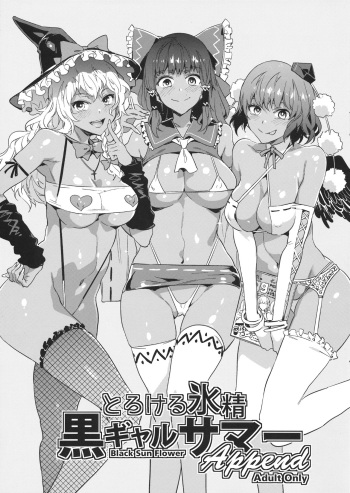 Torokeru Hyousei Kuro Gal Summer Append cover