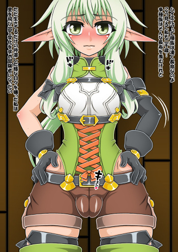 Goblin no Yousei Yome -Harami Bukuro- cover