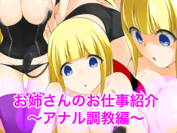 Onee-san no Oshigoto Shoukai ~Anal Zeme Hen~ cover