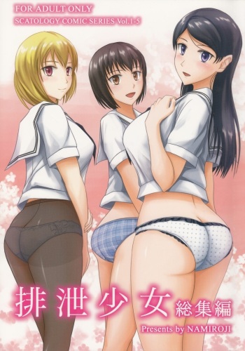 Haisetsu Shoujo Soushuuhen cover