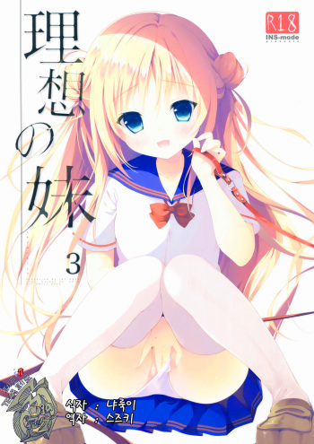 Risou no Imouto 3 cover