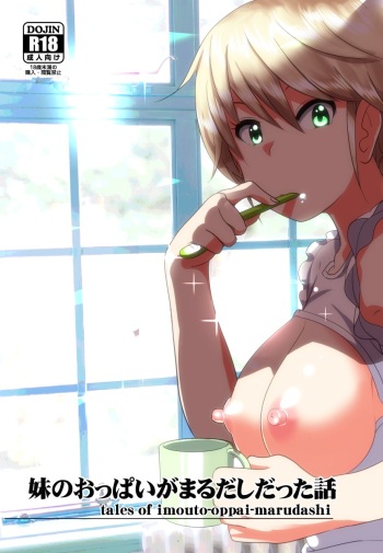 Imouto no Oppai ga Marudashi Datta Hanashi cover