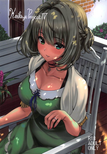 Koikaze Project IV cover