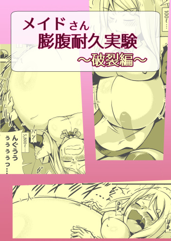Maid-san Boufuku Taikyuu Jikken ~Haretsu Hen~ cover