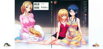 SISTERS ~ Natsu no Saigo no Hi ~ ULTRA EDITION Official Funbook 1990/0801-0817 cover