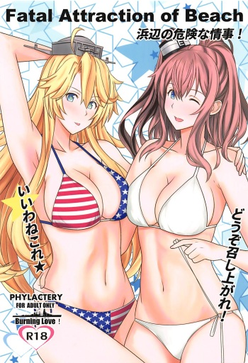Fatal Attraction of Beach cover