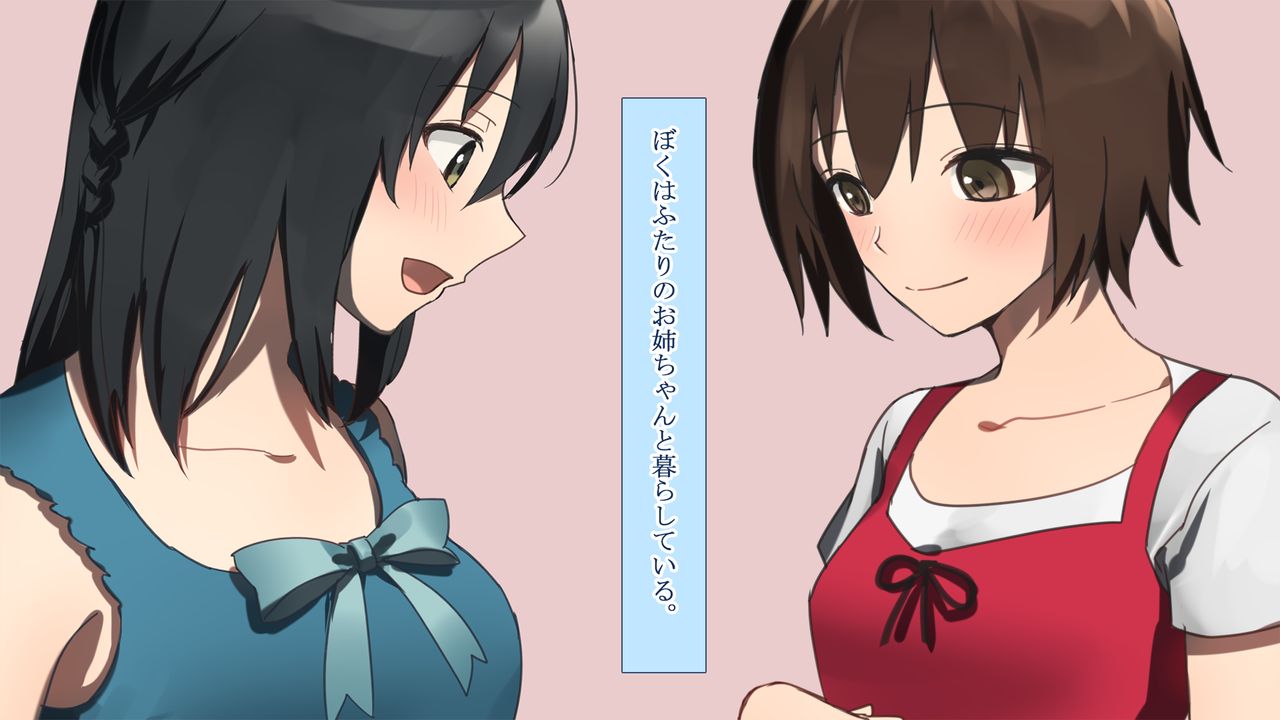 Hatsujou Ane Futari Otouto to Kozukuri shitai Onee-chan wa Suki desu ka? page 2 full