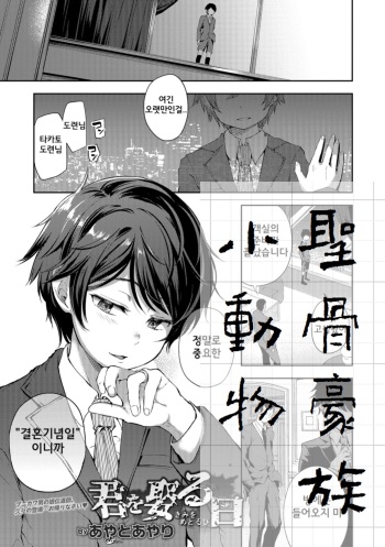 Kimi o Metoruhi cover