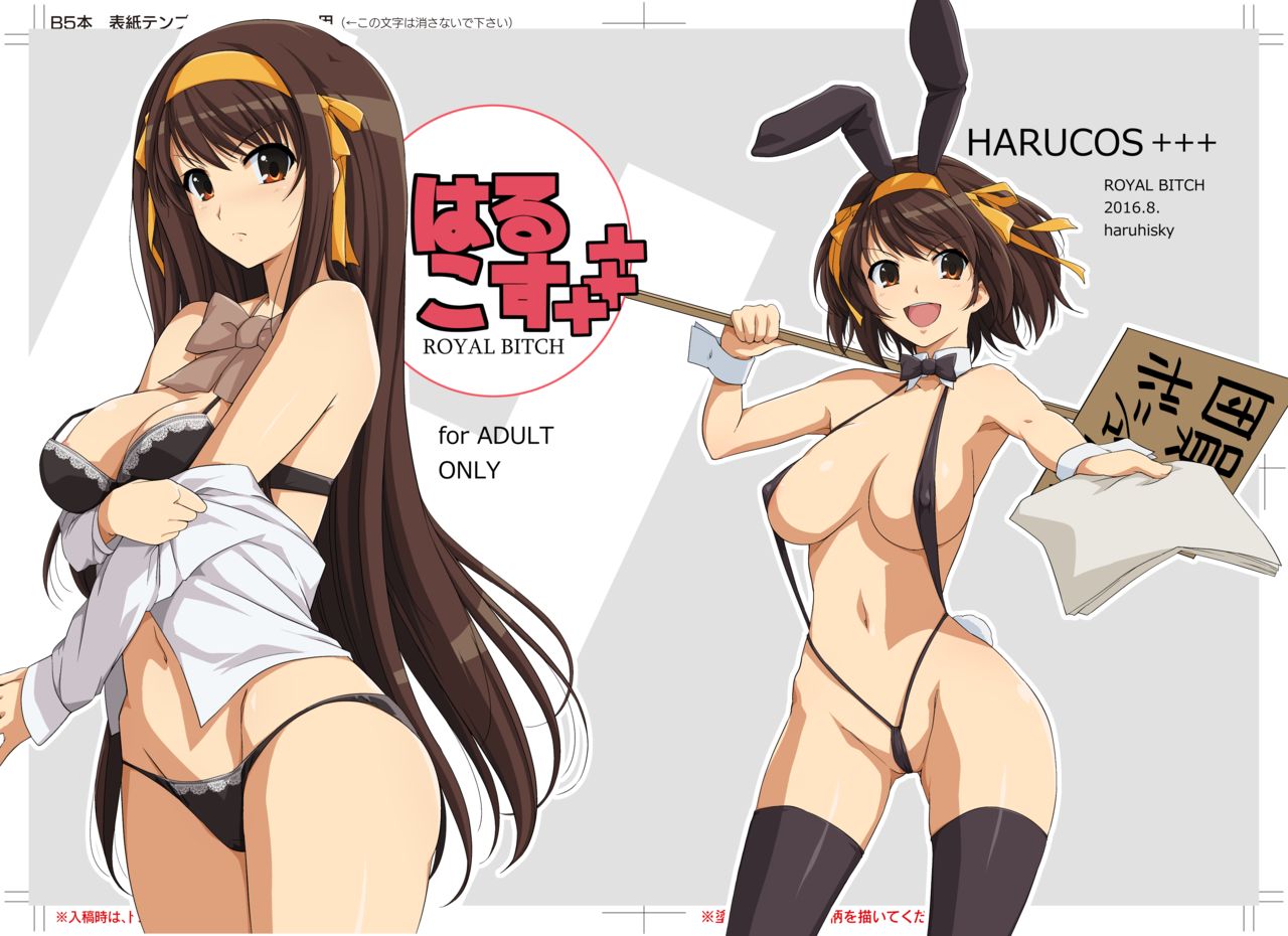 HARUCOS+++ page 1 full