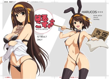 HARUCOS+++ cover
