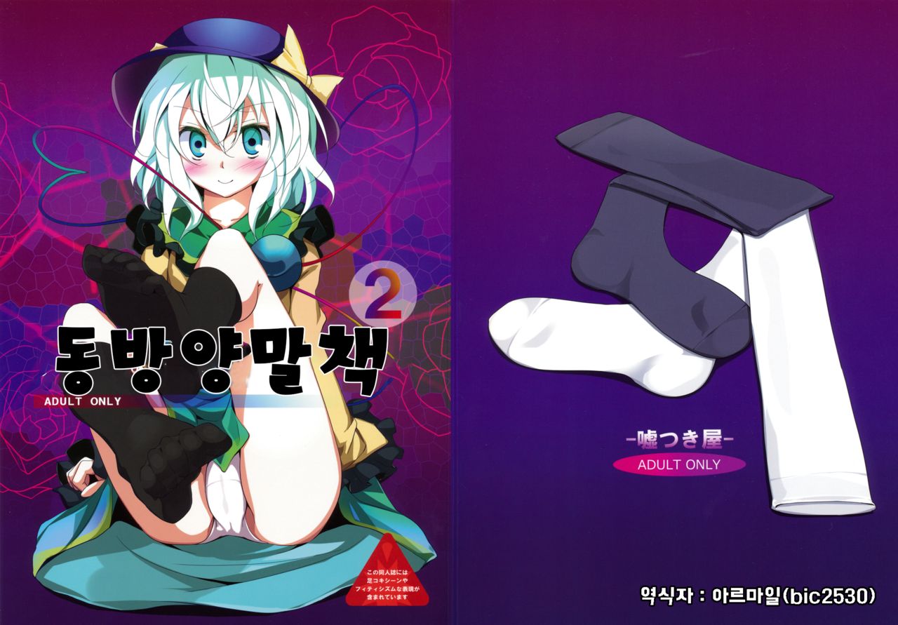 Touhou Kutsushita Bon 2 | 동방양말책2 page 1 full