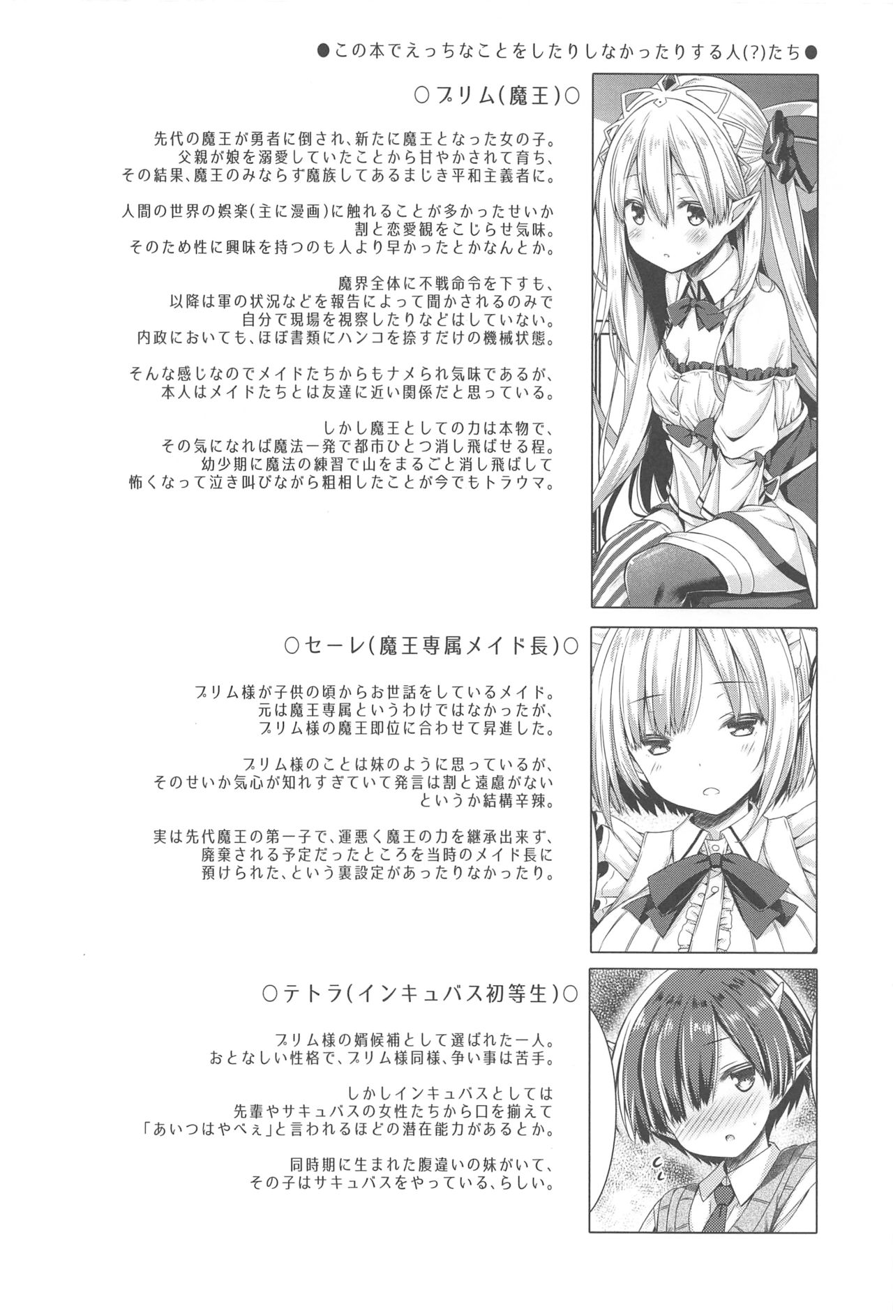 Maou-sama o Taosu no ni Yuusha mo Seiken mo Irimasen. page 3 full
