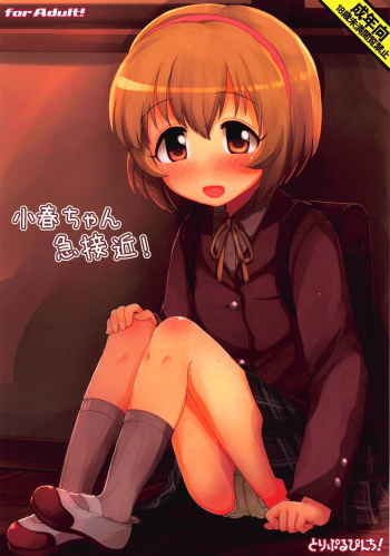 Koharu-chan Kyuusekkin! cover