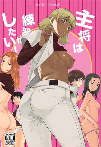Shushou wa Renshuu ga Shitai! cover