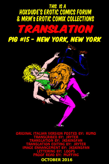PIG #15  NEW YORK, NEW YORK - A JKSKINSFAN TRANSLATION cover