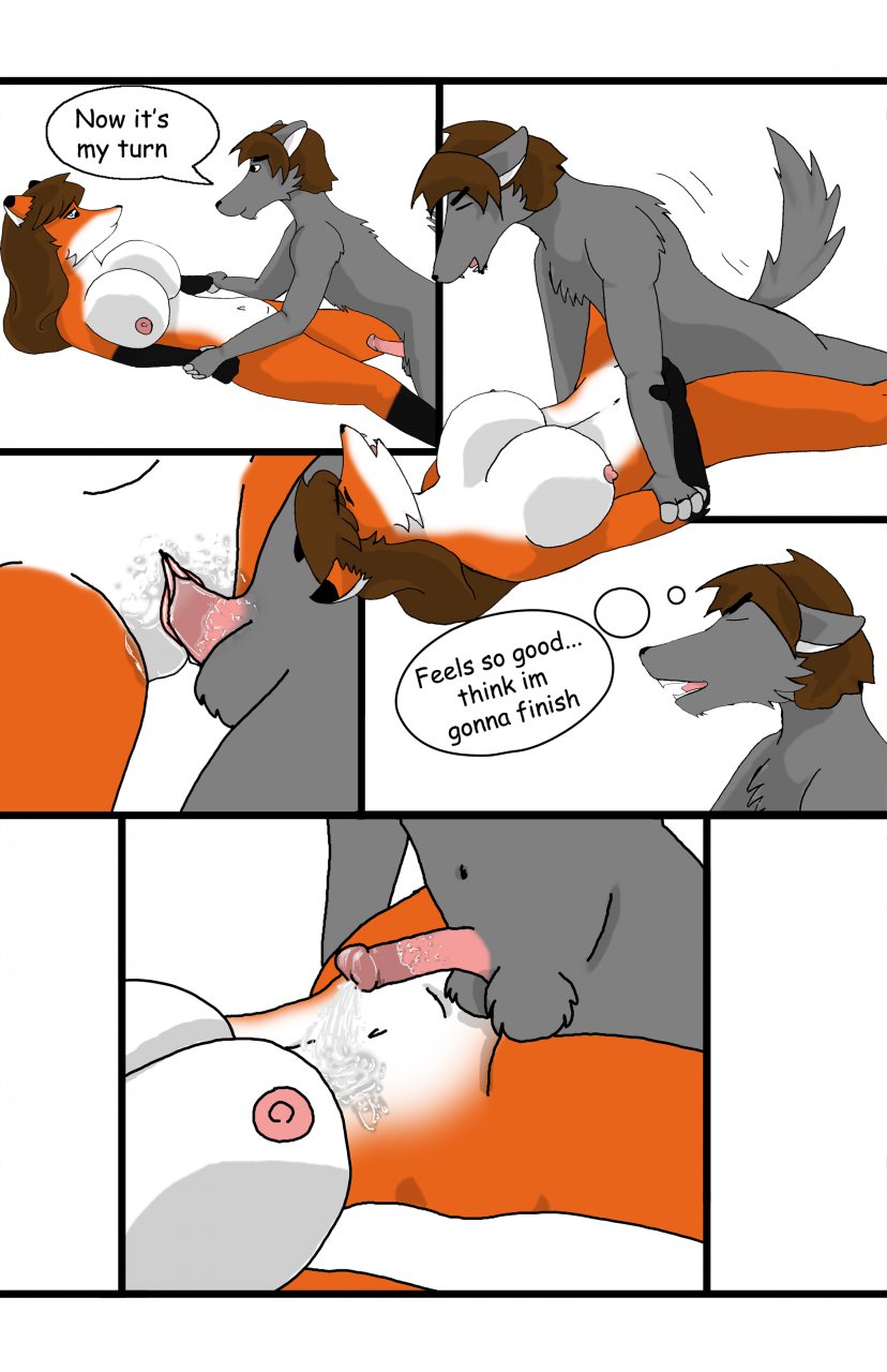 Wolf TF-TG page 4 full