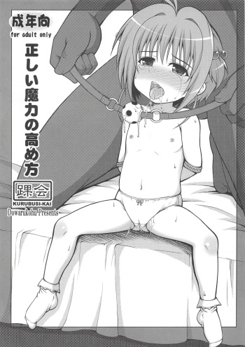 Tadashii Maryoku no Takamekata cover