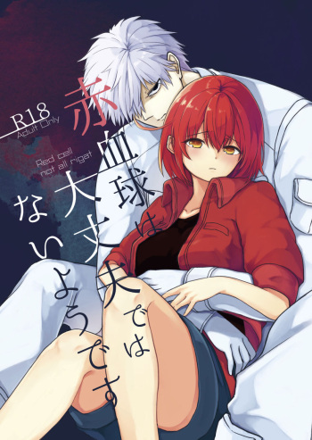 Sekkekkyuu wa Daijoubu de wa Naiyou desu cover