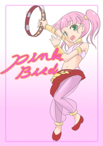Pink Bird cover