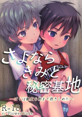 Sayonara Kimi to Himitsu Kichi -Boku wa Shinyuu wo Asa Made Dakishimeta- cover