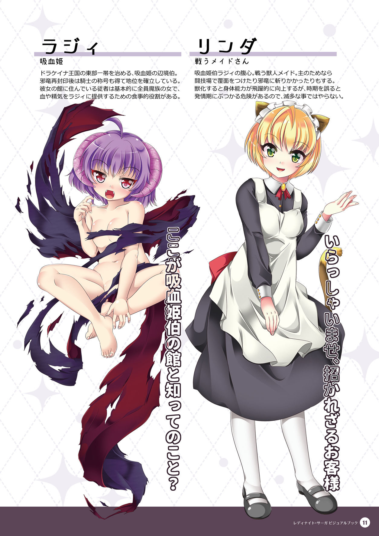 Lady Knight Saga - Official Visual Book page 10 full
