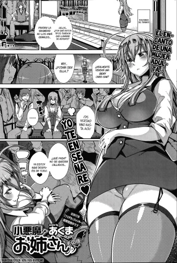 Koakuma Onee-san Sonogo... cover