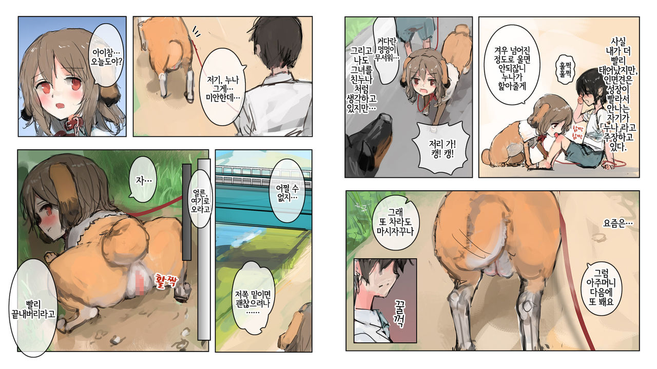 Bijinmeninu no Kaikata | 미인면견 기르는법 page 3 full