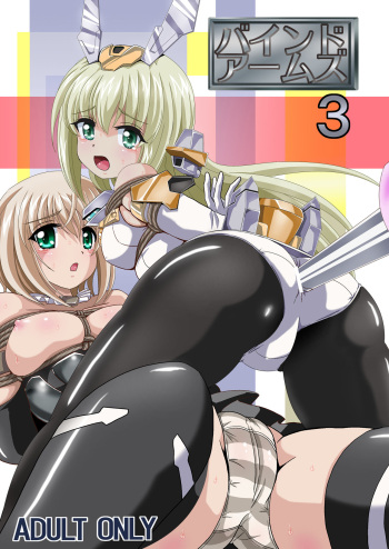 Bind Arms 3 cover
