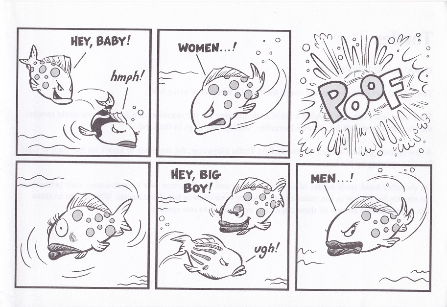 How the animals do it/Animated Animals page 9 full