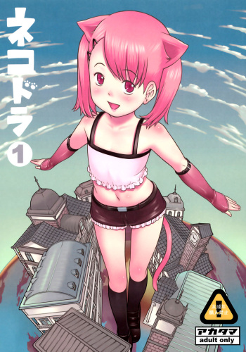 Nekodora 1kan cover