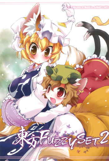 Touhou FUZZYSET 2 cover