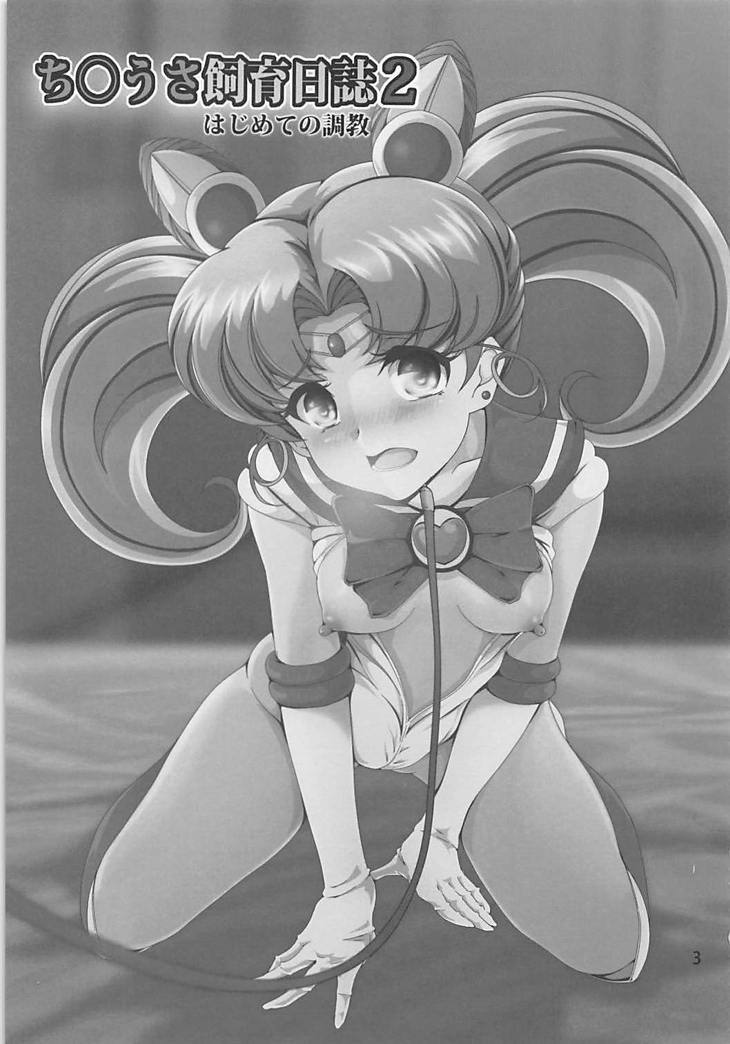 Chibiusa Shiiku Nisshi 2 page 2 full