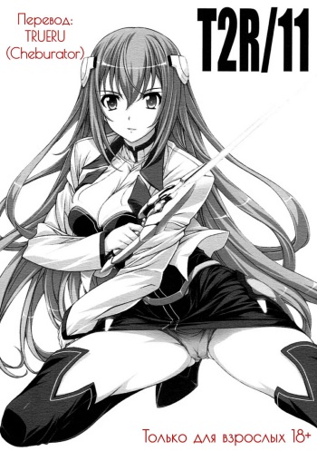 T2R11 cover