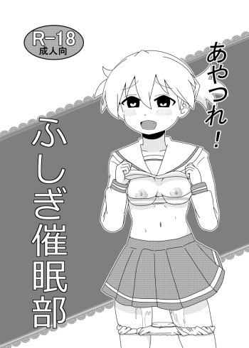 去年のふし研本 cover