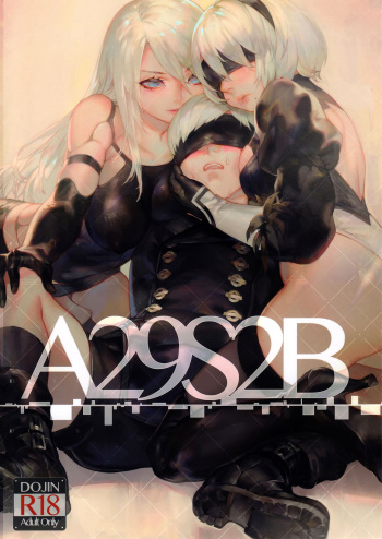 A29S2B cover