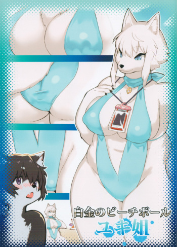Summer Encounter "Y" cover