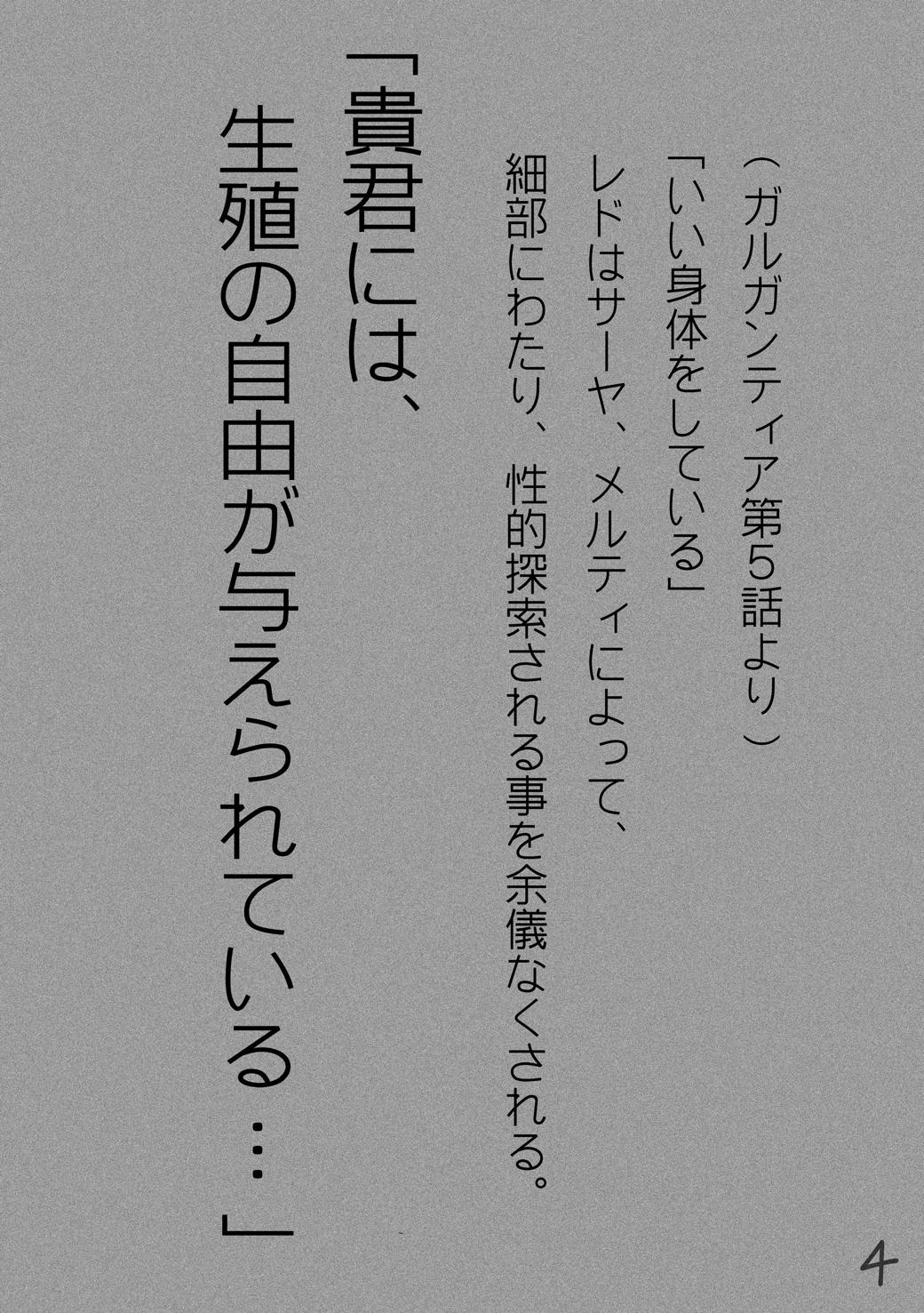 RST 01 ~Gargantia Hen~ page 3 full