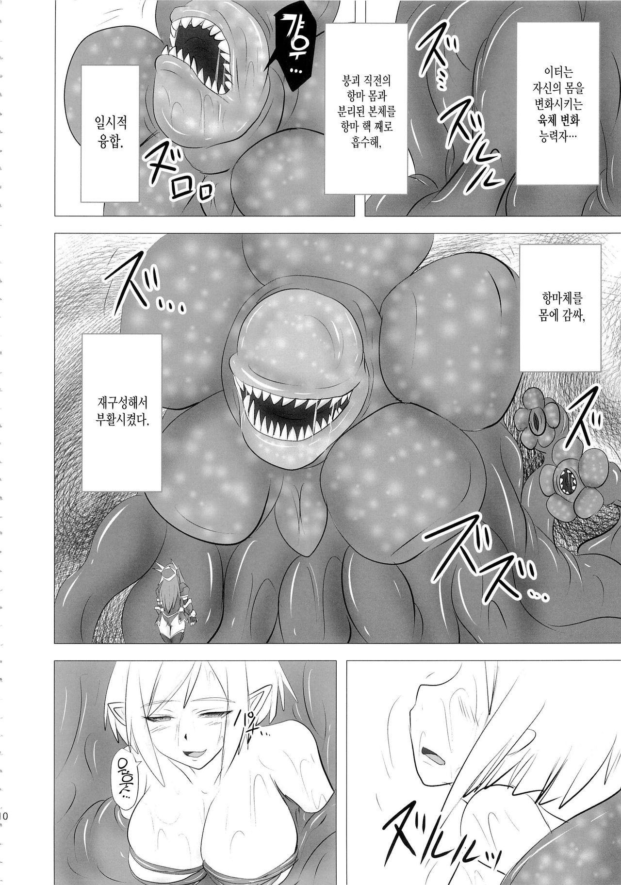 Shield Knight Elsain Vol. 16 Mushibami no Inshuu Hana page 9 full