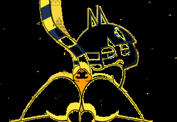Ankha cover