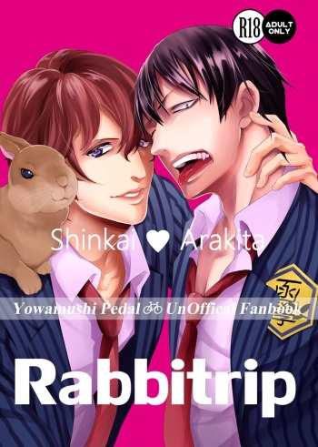 Rabbitrip cover
