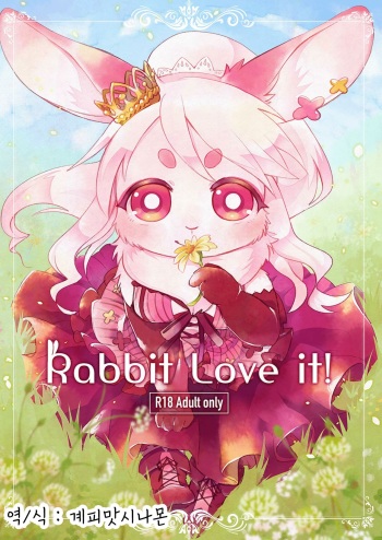 Rabbit Love it! cover