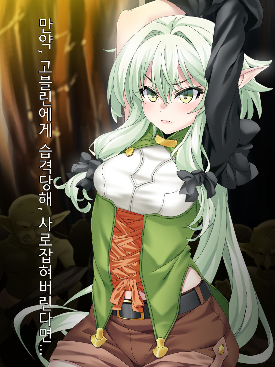 Moshi, Kooni ni Osoware, Tsukamaeraretara... | 만약, 고블린에게 습격당해, 사로잡혀버린다면... page 1 full
