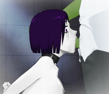 Raven Photo Gallery cover