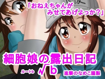 細胞娘の露出日記 √b cover