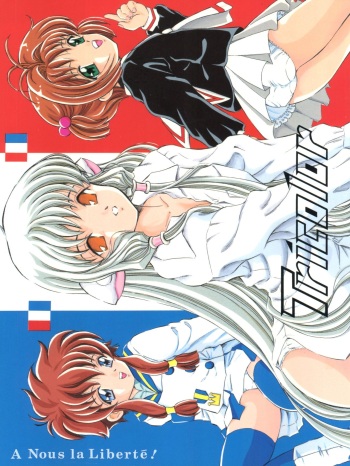 Tricolor cover