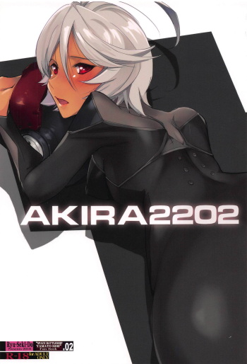 AKIRA2202 cover