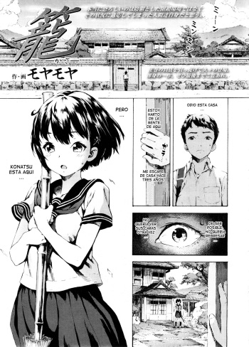 Kago cover