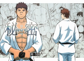 Himitsu | Secret cover