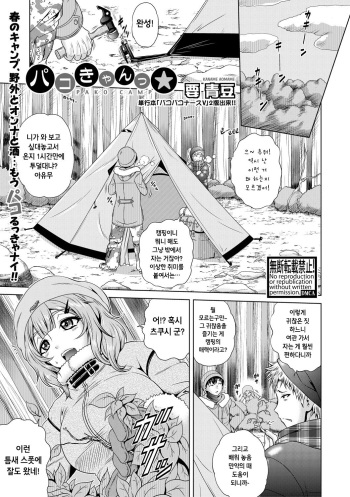 Pako camp☆ cover