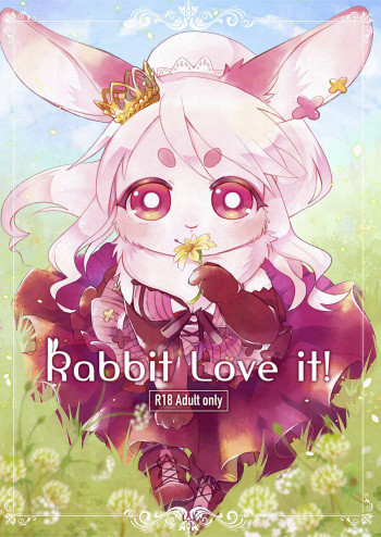 Rabbit love it! cover